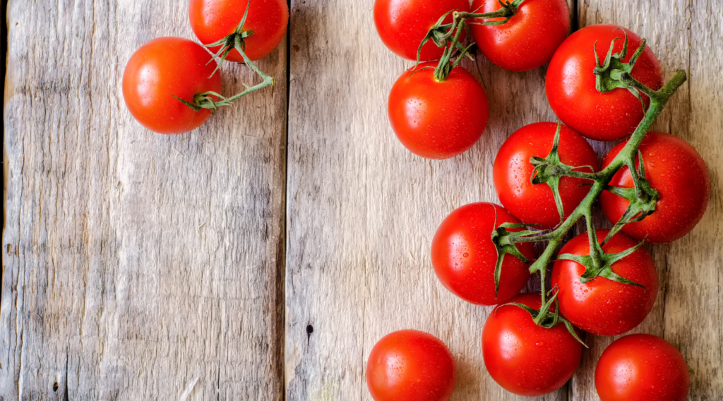 tomato varieties