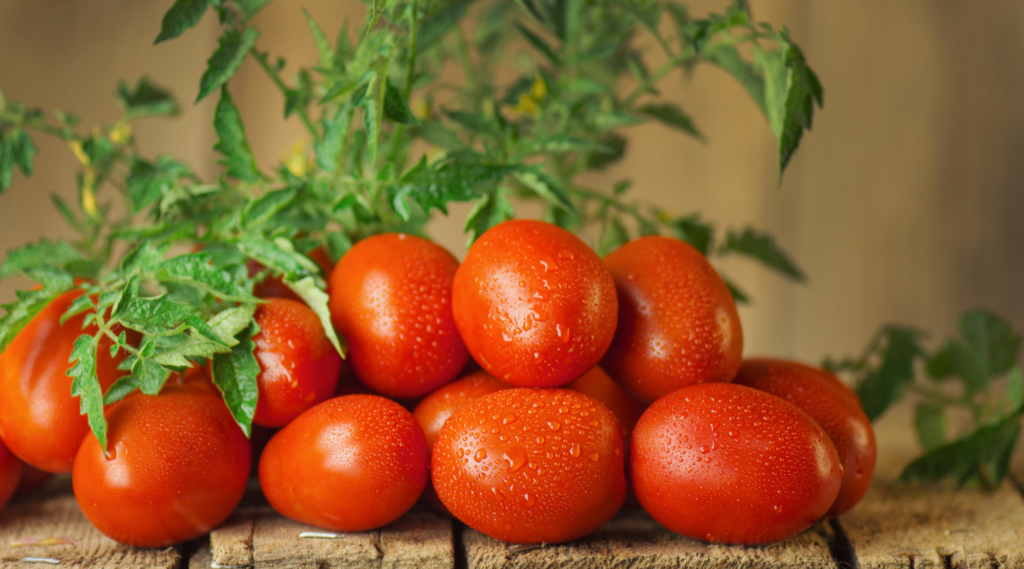 A basket of Roma tomatoes, ideal for sauces and canning