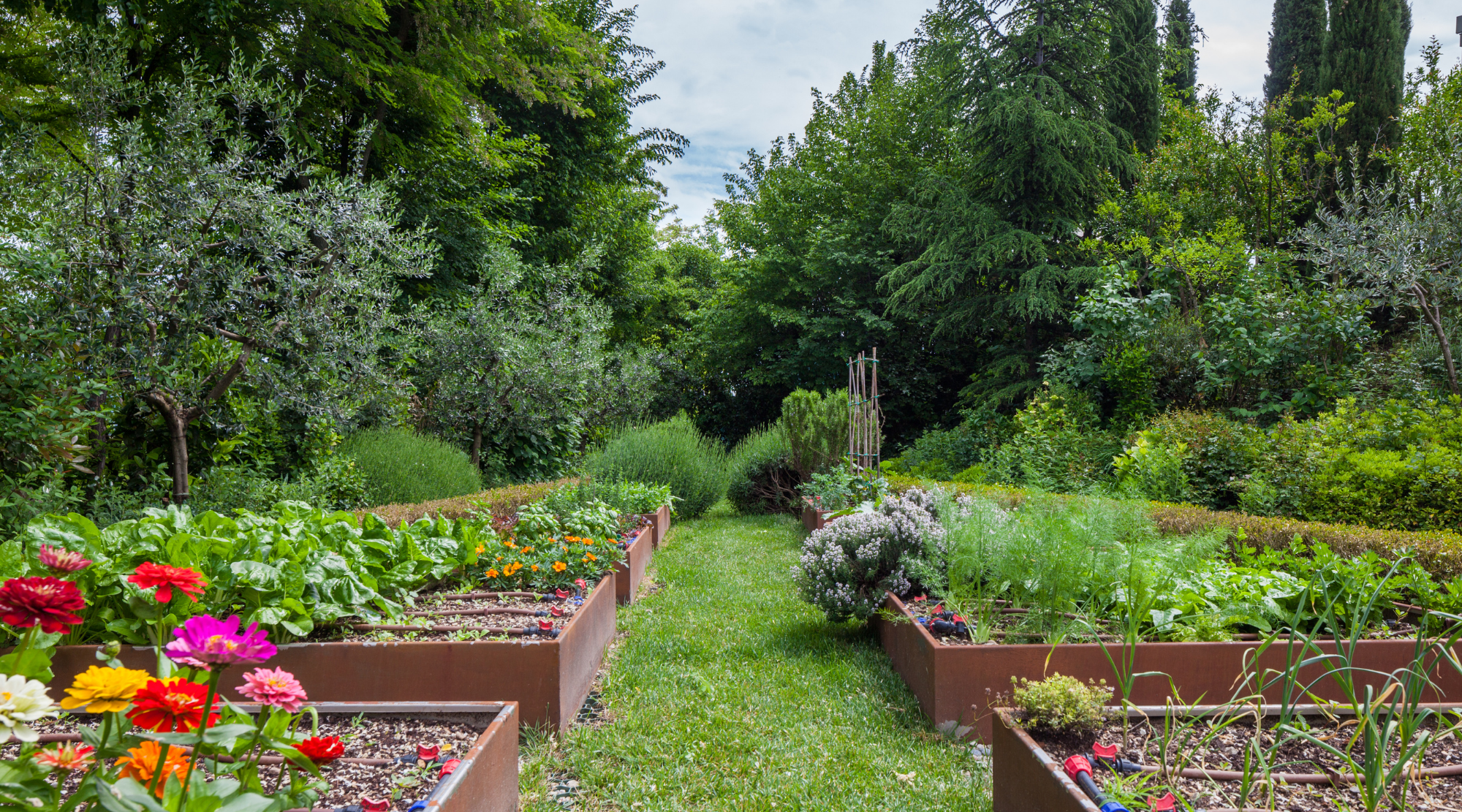 10 Easy Vegetables to Grow for a Thriving Backyard Garden