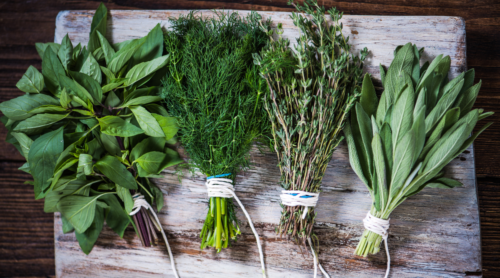 Herbs for companion planting