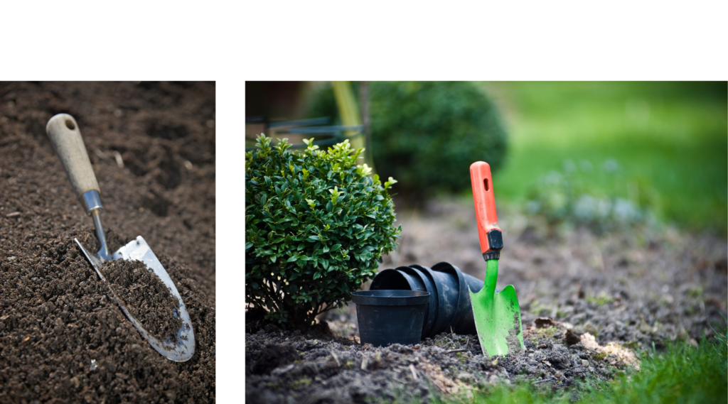 Essential gardening tools