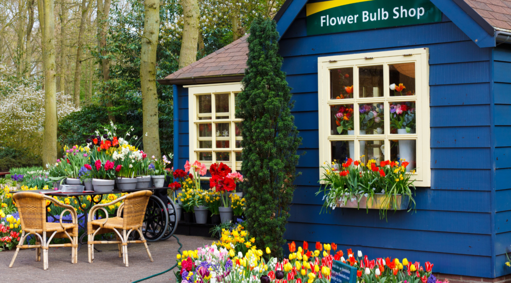 Top 15 Longest-Flowering Bulbs for Your Garden