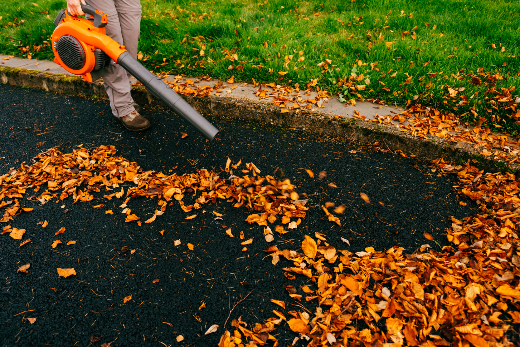 Leaf Blower