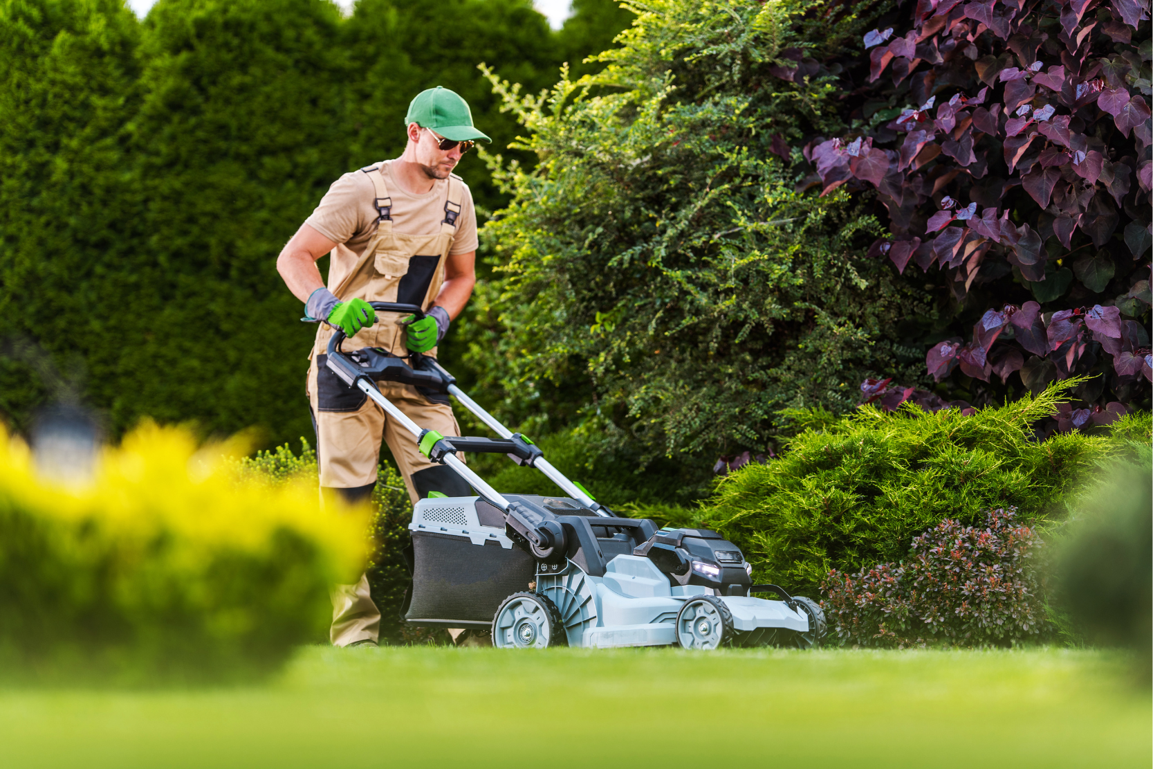 Electric Lawn Mower