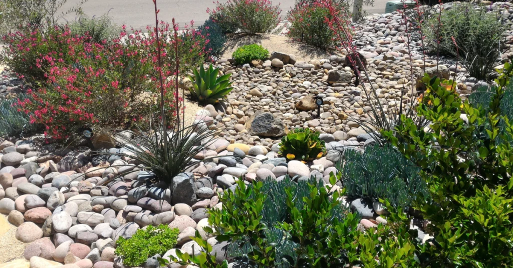 Rain Gardens