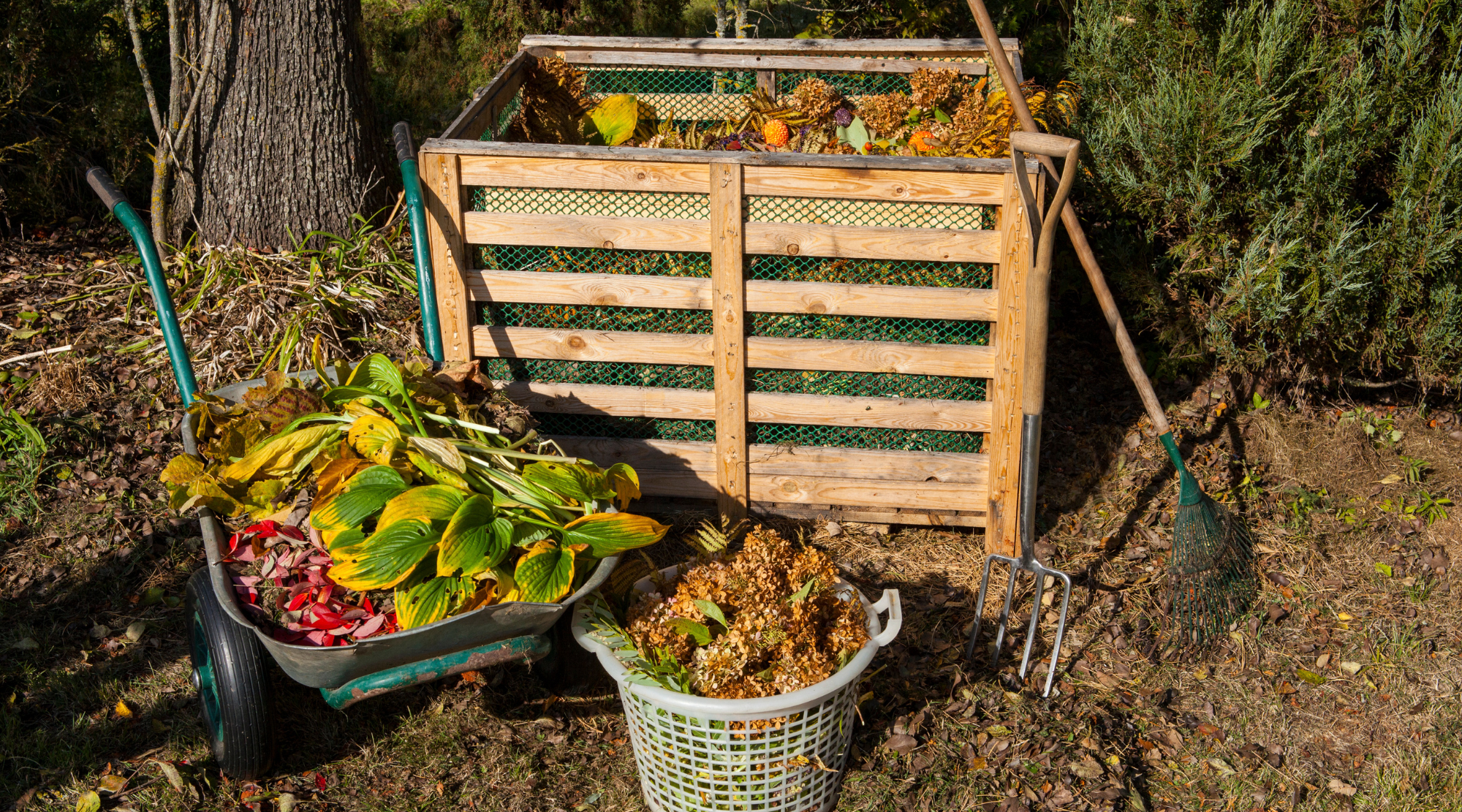 Mastering Soil Health & Fertilization: The Ultimate Guide to a Thriving Garden