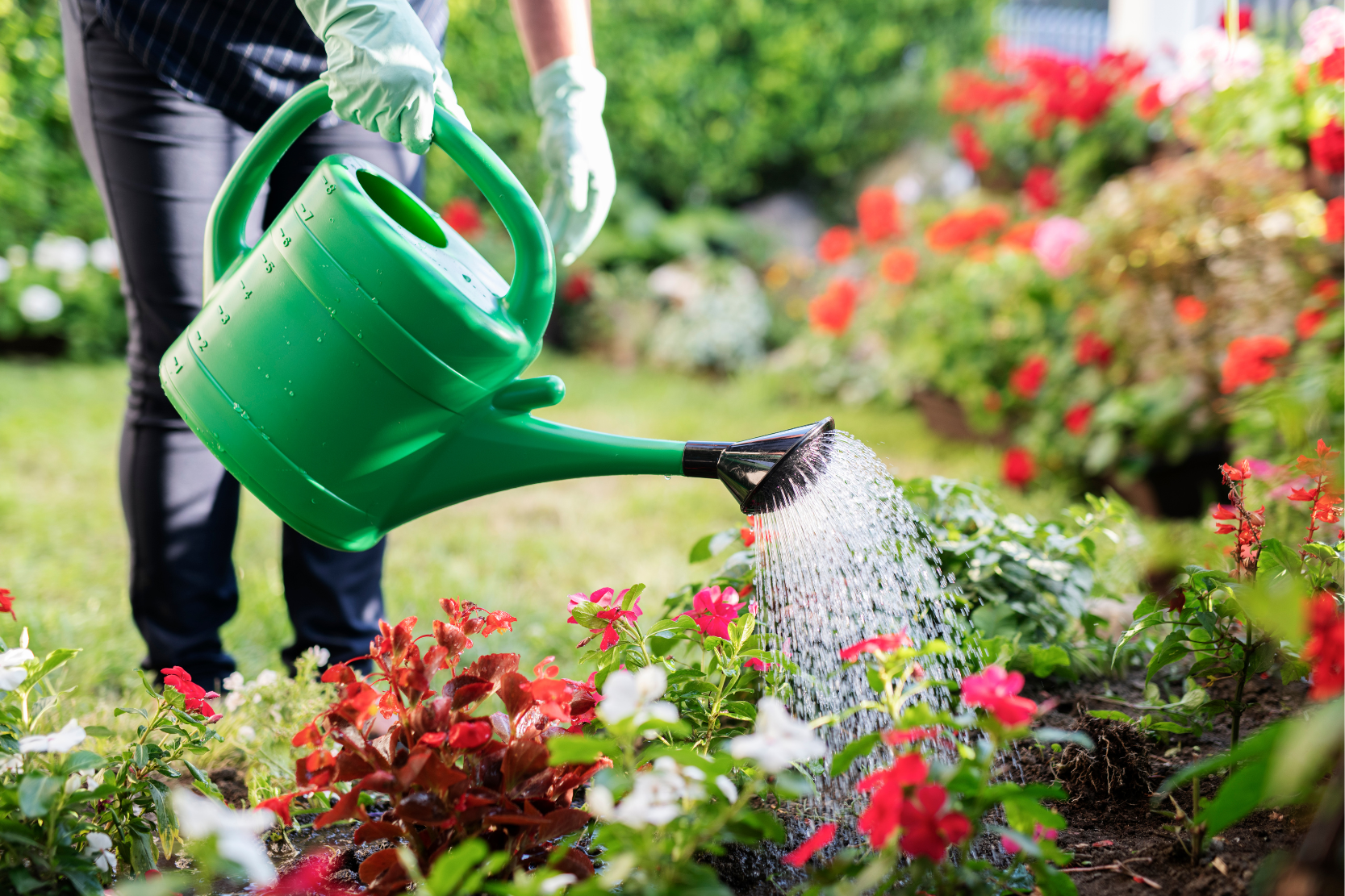 Watering Can