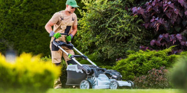 The Best Electric Garden Tools for Eco-Friendly Yard Care