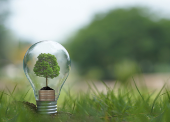 Eco-Friendly Living Made Easy: Automate Green Choices with AI Assistance