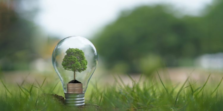 Eco-Friendly Living Made Easy: Automate Green Choices with AI Assistance