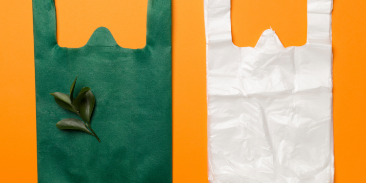 Biodegradable Materials on the Rise: How They’re Transforming Everyday Life