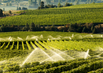 Water-Wise Gardening Made Easy: AI and Smart Irrigation Solutions