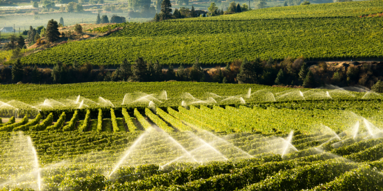 Water-Wise Gardening Made Easy: AI and Smart Irrigation Solutions