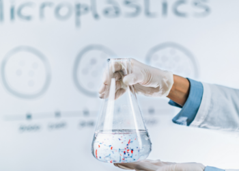 The Microplastics Problem: Understanding Their Impact and How to Mitigate It