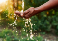 Water Conservation Made Easy: Effective Techniques to Reduce Household Use