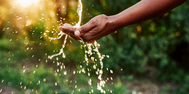 Water Conservation Made Easy: Effective Techniques to Reduce Household Use