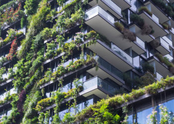 Eco-Friendly Building Innovations: The New Era of Green Construction Materials