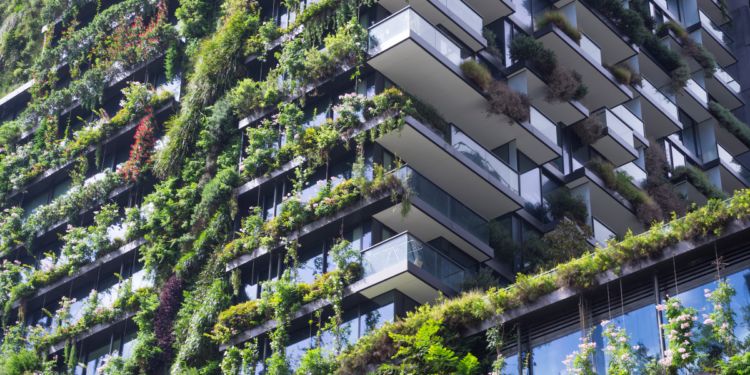 Eco-Friendly Building Innovations: The New Era of Green Construction Materials