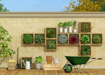 Vertical Gardening Made Easy: A Complete Guide for Urban Spaces