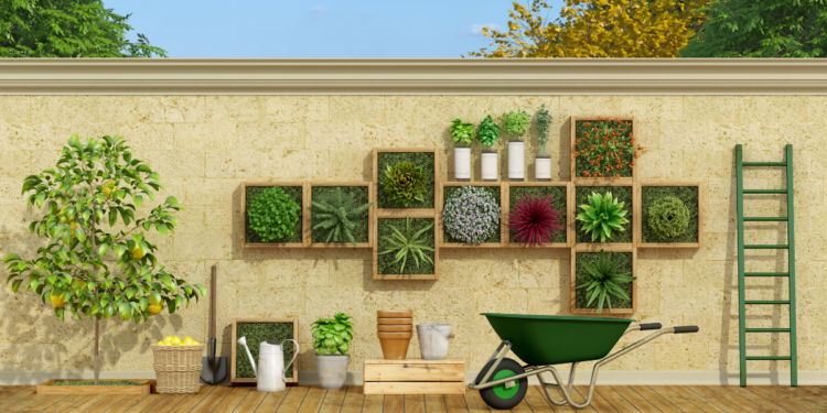 Vertical Gardening Made Easy: A Complete Guide for Urban Spaces
